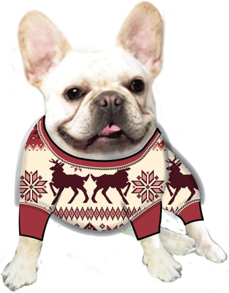 PJ Salvage Women's Loungewear Family Fairisle Dog Pj Set, Red, XL