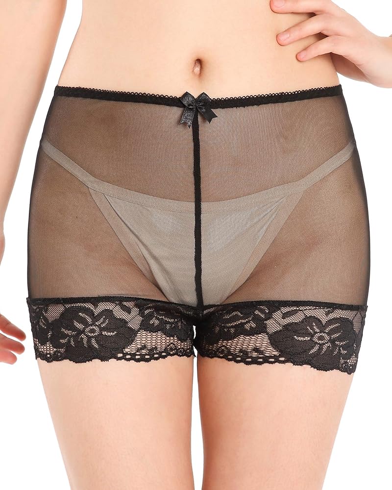 Satini Women's Nylon Sheer French Knickers Briefs Panties