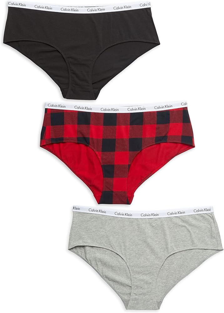 Calvin Klein Women`s Plus Size Carousel Modern Hipster Panties 3 Pack (B(QP2918-620)/R, 1X)