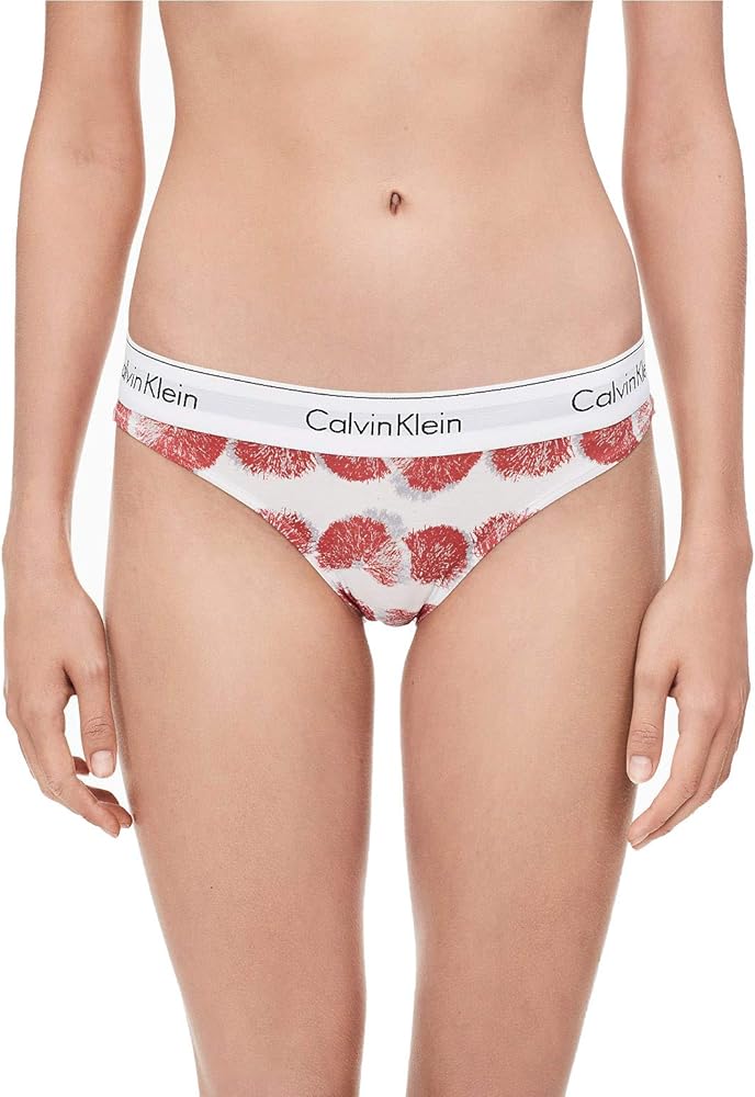 Calvin Klein Women`s Modern Cotton Bikini Panty (Beige(F3787-911)/Oyster, Medium)